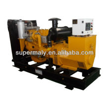 70kw natural gas generator with radiator